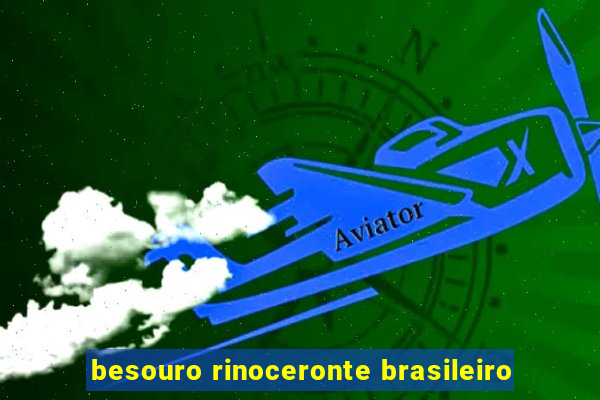 besouro rinoceronte brasileiro